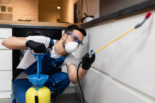 Best Emergency Pest Control  in Washington, IL