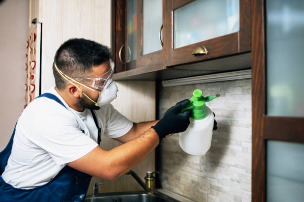 Best Flea Control Services  in Washington, IL