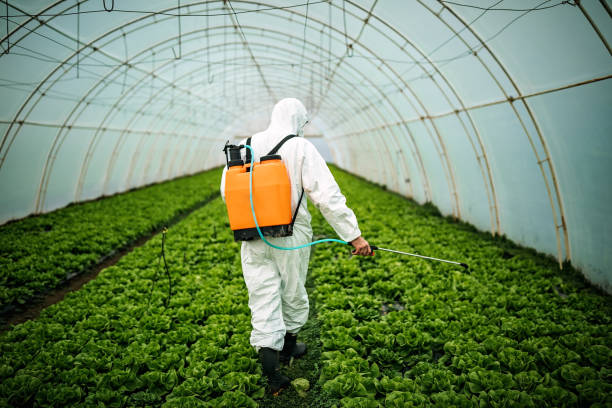 Best Affordable Pest Control Services  in Washington, IL