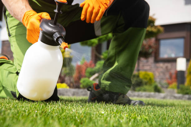Reliable Washington, IL Pest Control Solutions