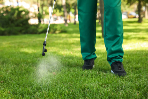 Best Residential Pest Control  in Washington, IL