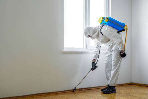 Best Rat Extermination Near Me  in Washington, IL