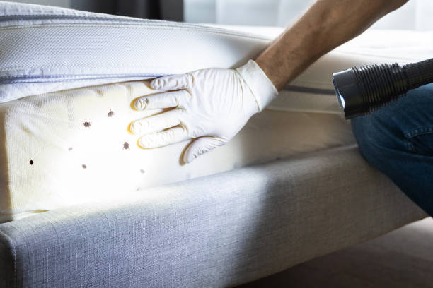 Best Best Pest Control Companies  in Washington, IL