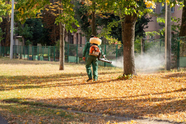 Best Affordable Pest Control Services  in Washington, IL