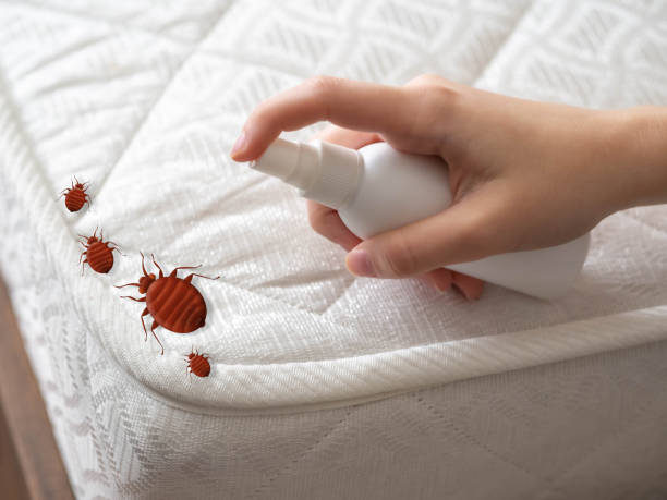 Best Termite Control Services  in Washington, IL