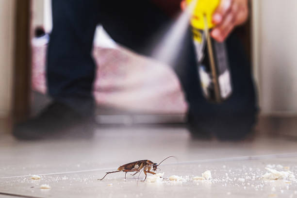 Professional Pest Control in Washington, IL