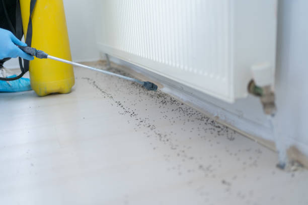 Pest Prevention Services in Washington, IL