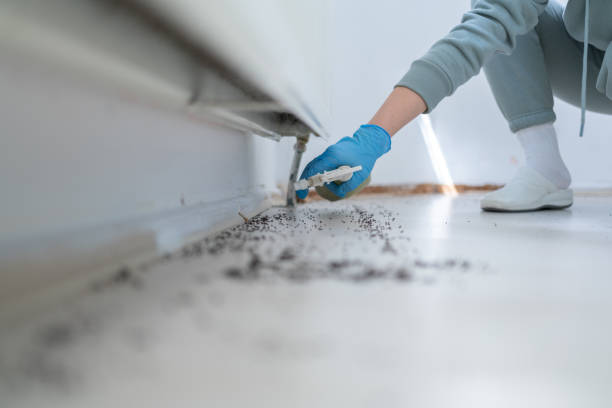 Best Pest Removal Services  in Washington, IL