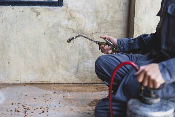 Best Residential Pest Control  in Washington, IL