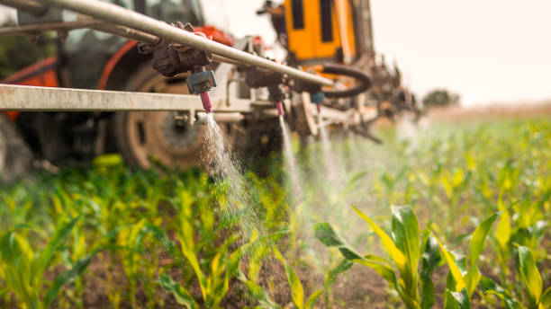 Best Pest Control for Businesses  in Washington, IL